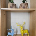 אושרית מאיר